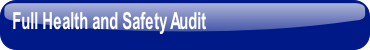 Full Health and Safety Audit